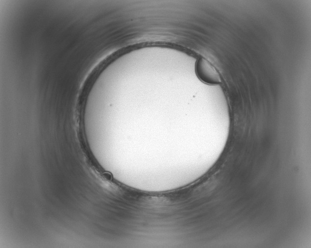 X0000068731119200605192312