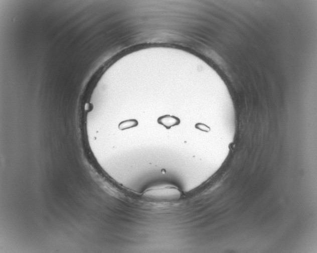 X0000068731122200605192312