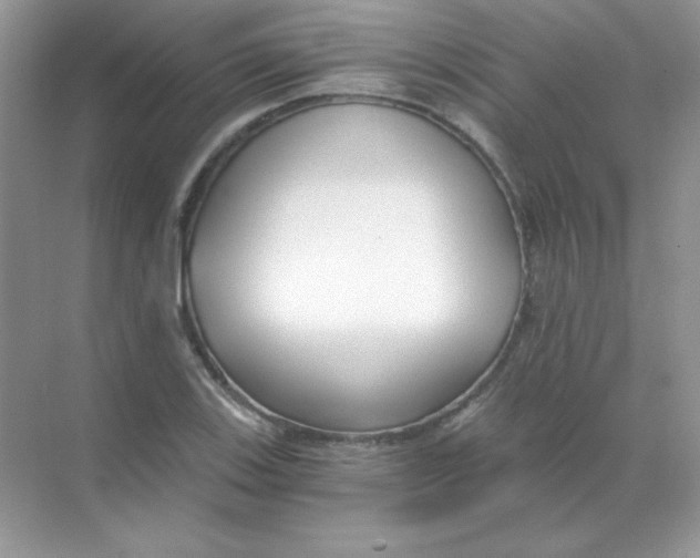 X0000068731123200605192312