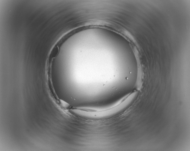 X0000068731124200605192312