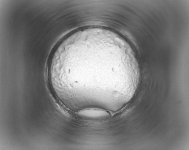 X0000068731125200605192312