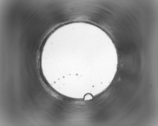 X0000068731126200605192312