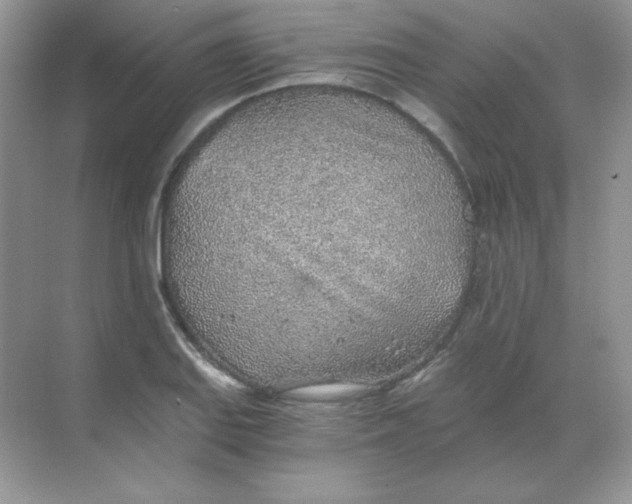 X0000068731127200605192312