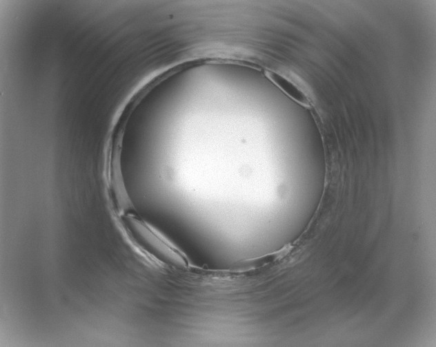 X0000068731128200605192312