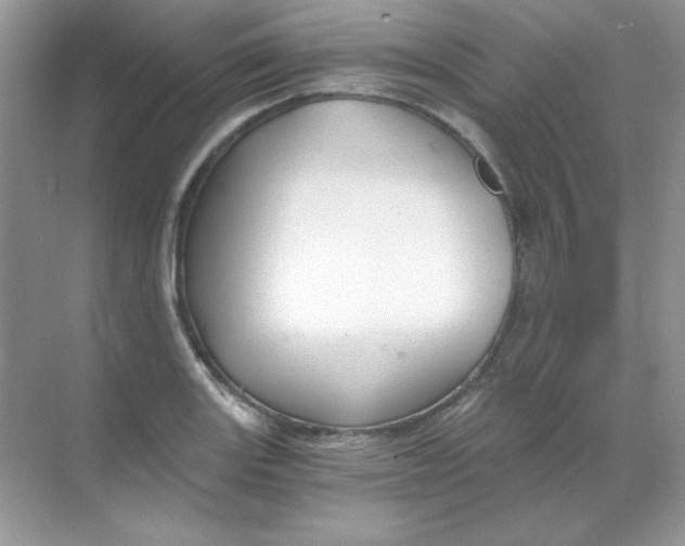 X0000068731131200605192312