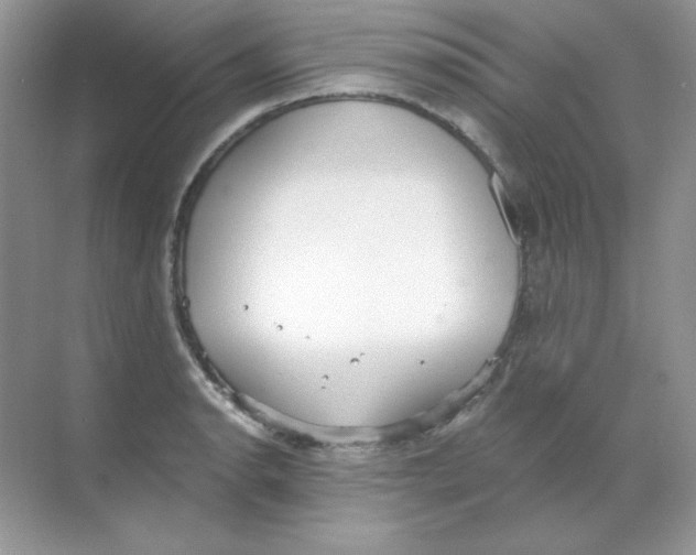 X0000068731134200605192312