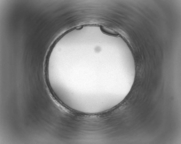 X0000068731135200605192312