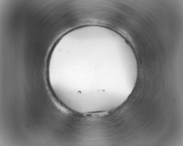 X0000068731136200605192312