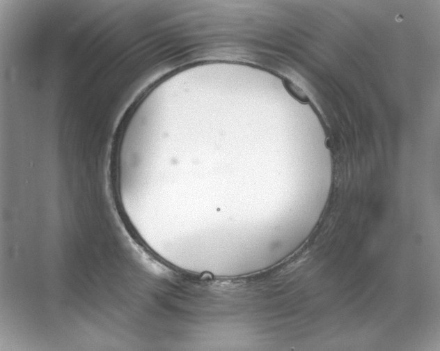 X0000068731139200605192312