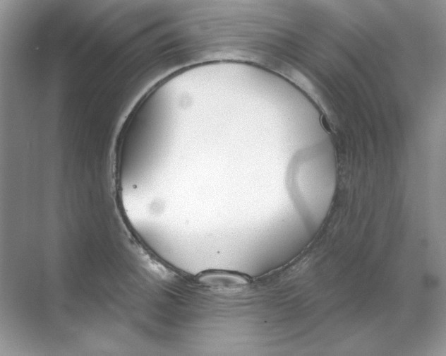 X0000068731140200605192312