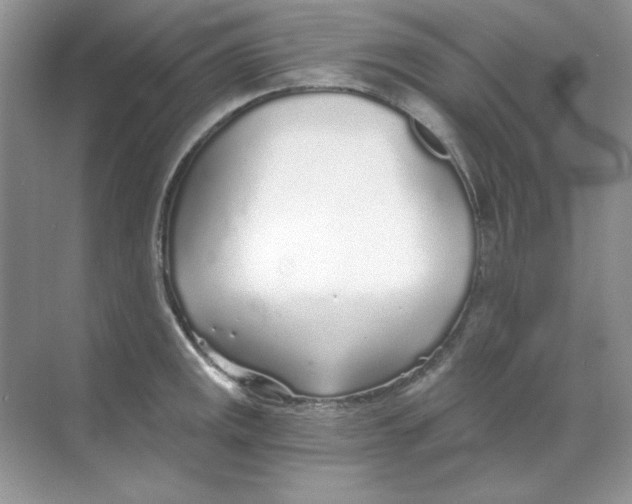 X0000068731141200605192312