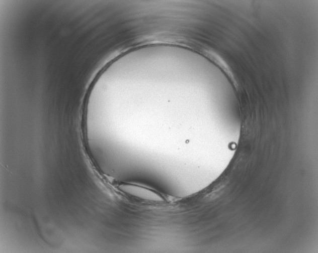 X0000068731146200605192312