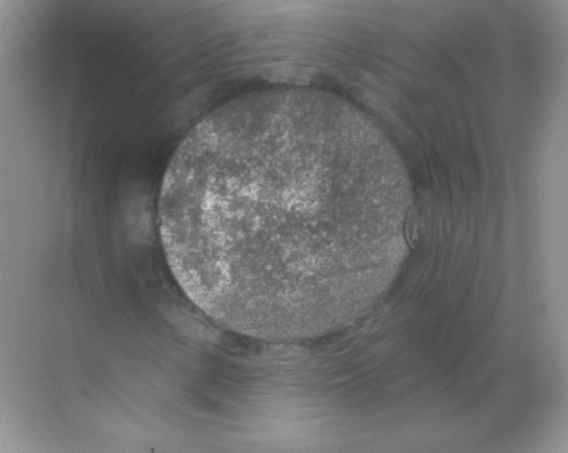 X0000068731154200605192312