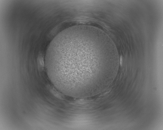 X0000068731155200605192312