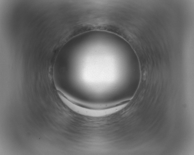 X0000068731156200605192312