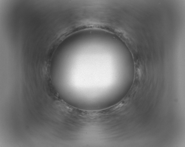 X0000068731157200605192312