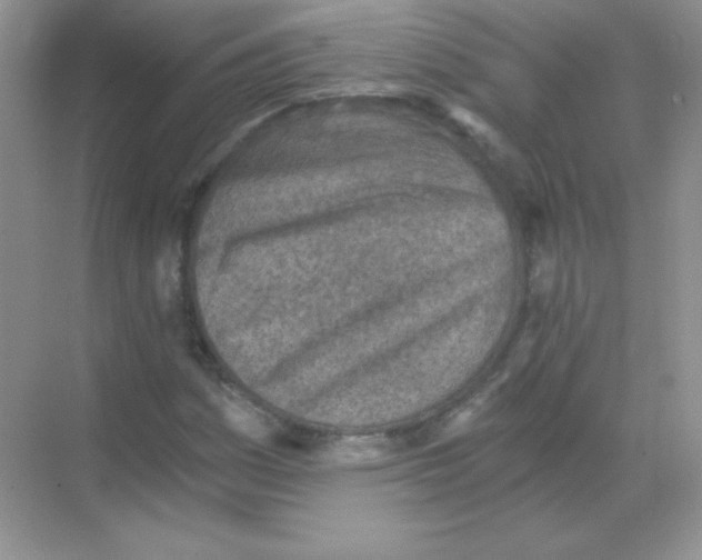 X0000068731161200605192312