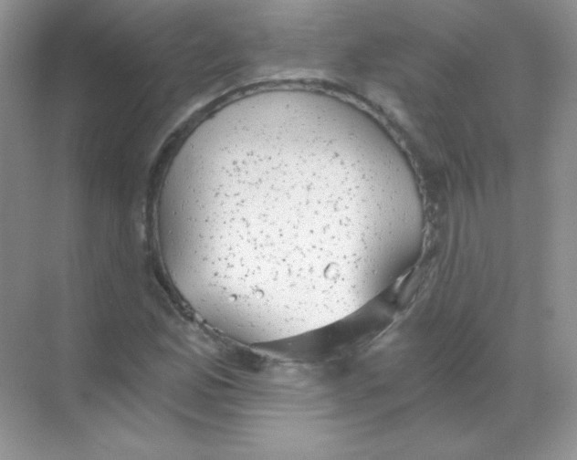 X0000068731165200605192311