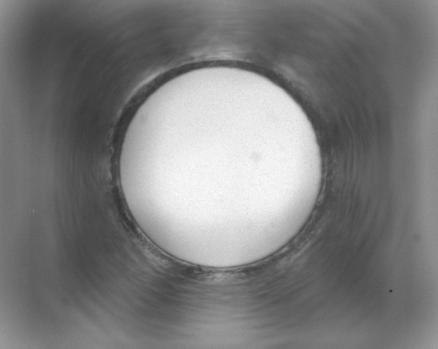 X0000068731166200605192311