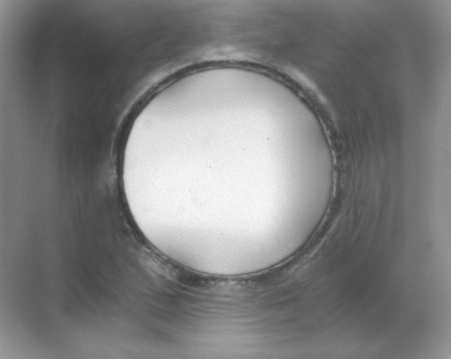 X0000068731167200605192311