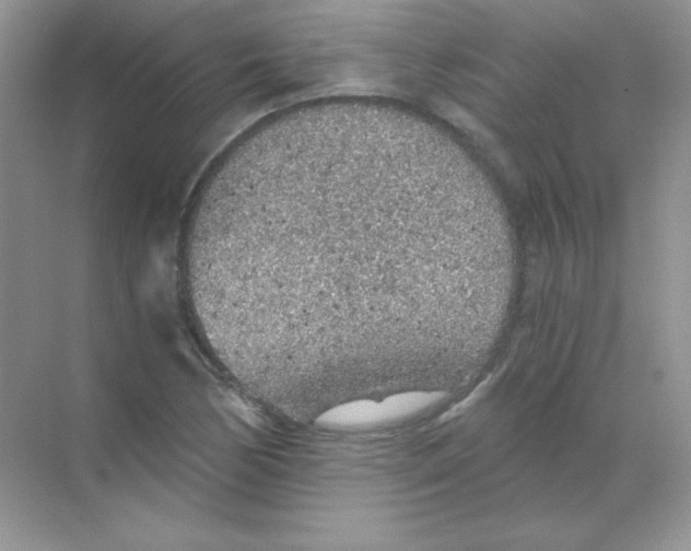 X0000068731170200605192311