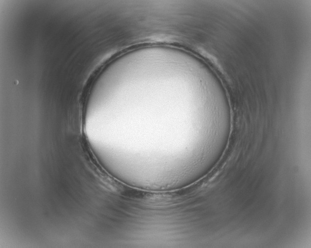 X0000068731171200605192311