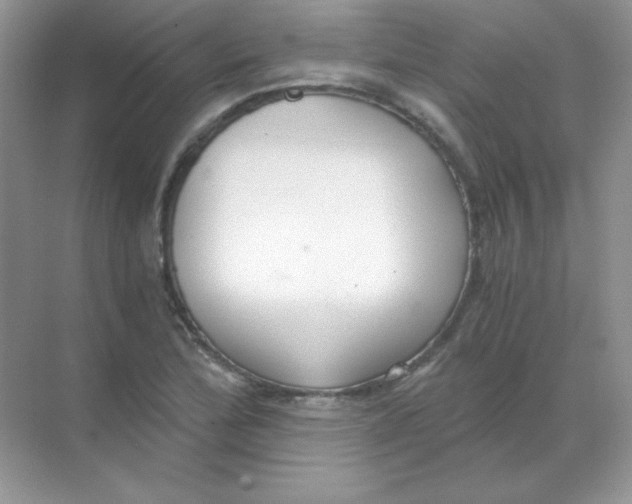 X0000068731172200605192311