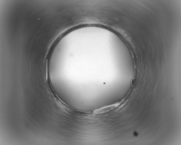 X0000068731175200605192311