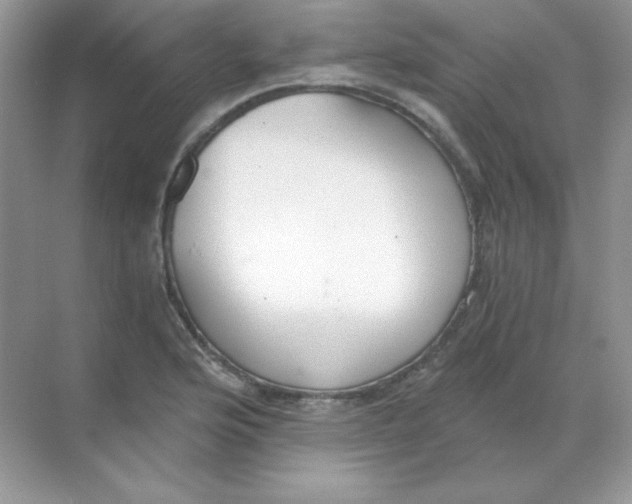 X0000068731176200605192311