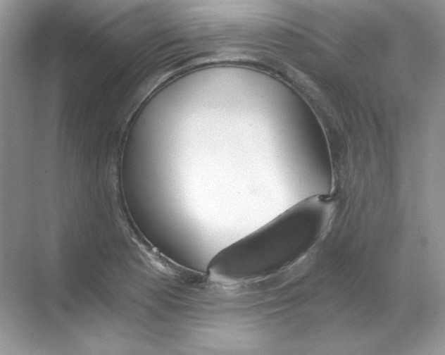 X0000068731177200605192311