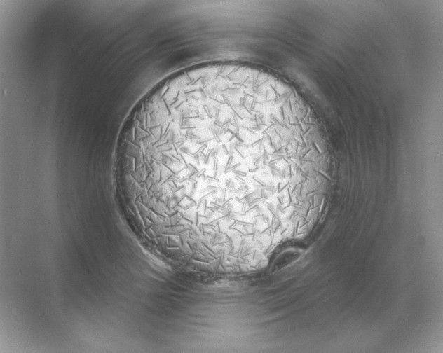 X0000068731178200605192311