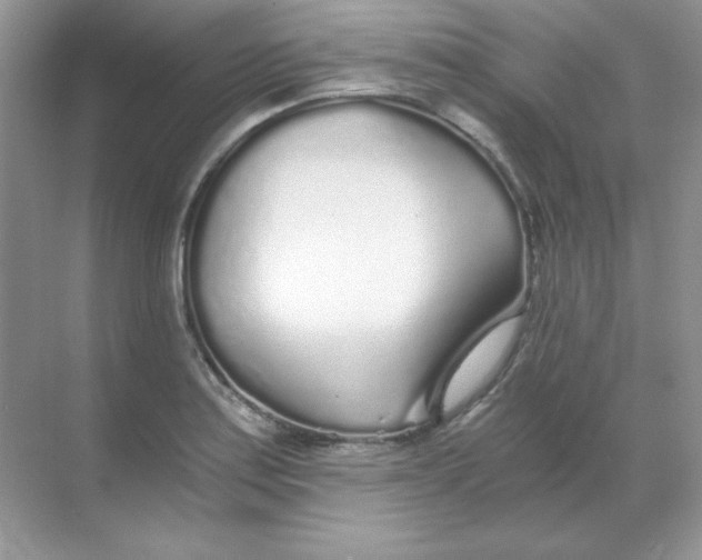 X0000068731179200605192311