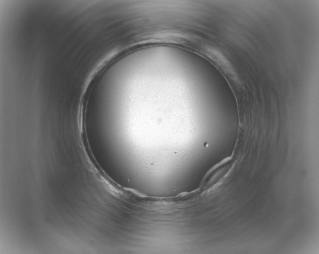 X0000068731180200605192311