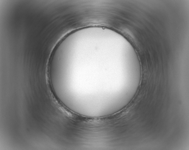 X0000068731182200605192311