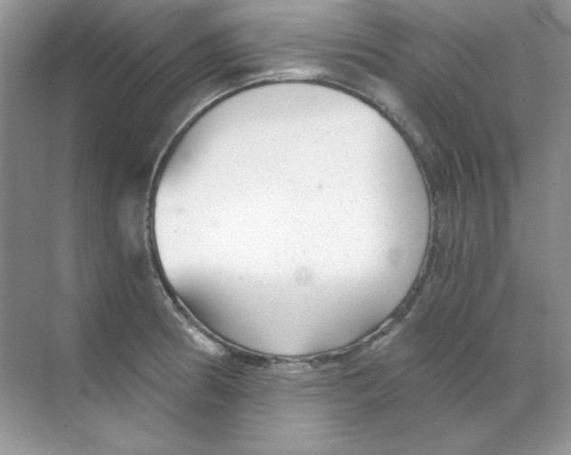 X0000068731186200605192311