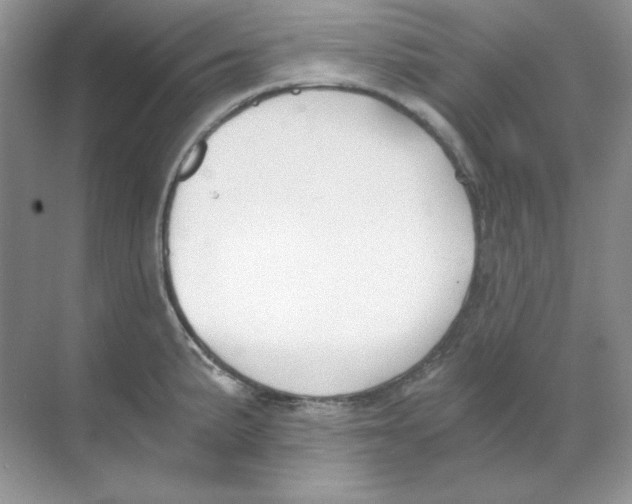 X0000068731191200605192311