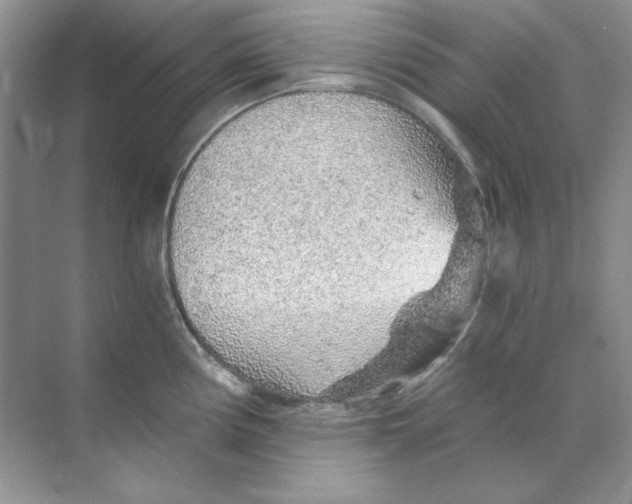 X0000068731194200605192311