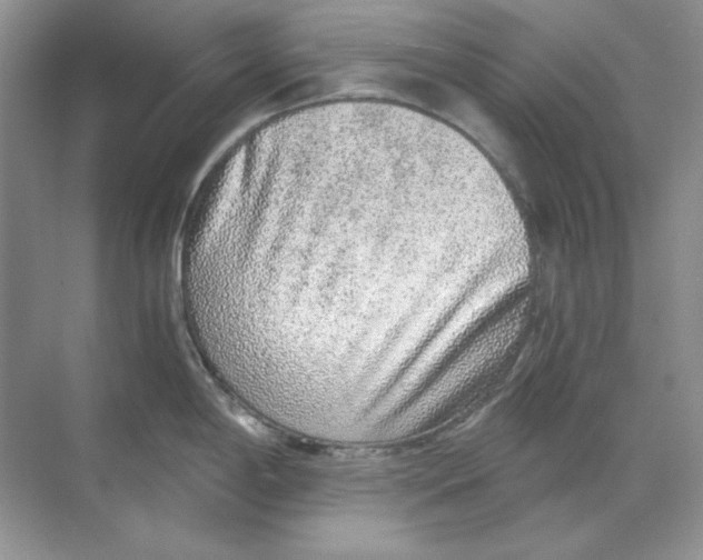 X0000068731198200605192311