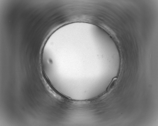 X0000068731200200605192311