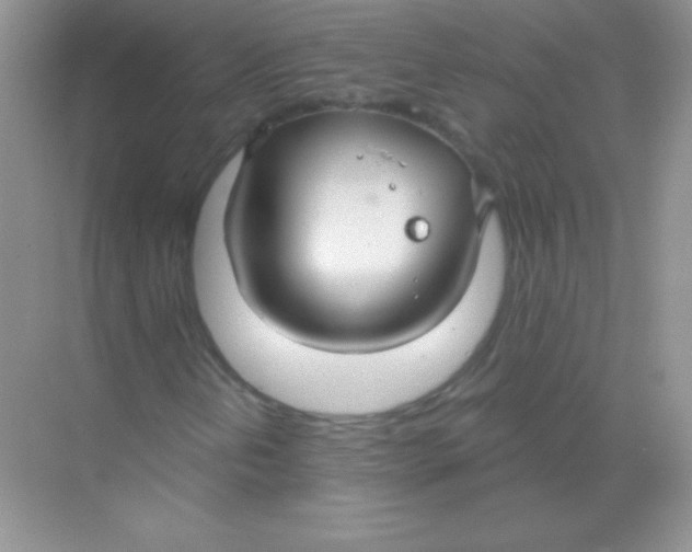 X0000068731202200605192310