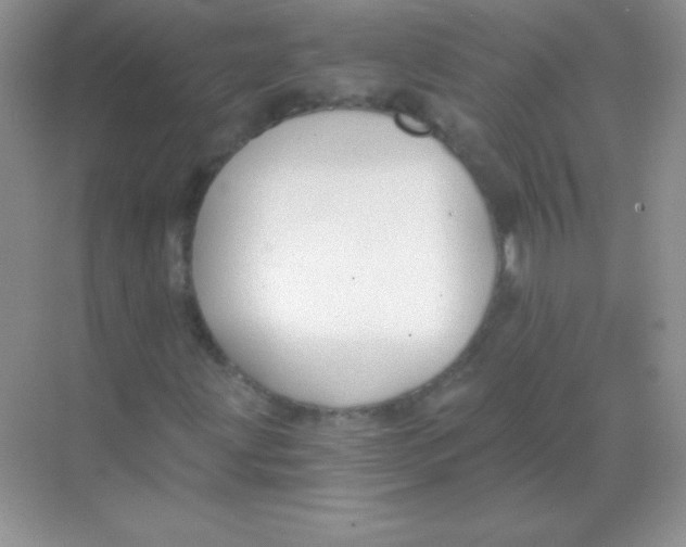 X0000068731203200605192310