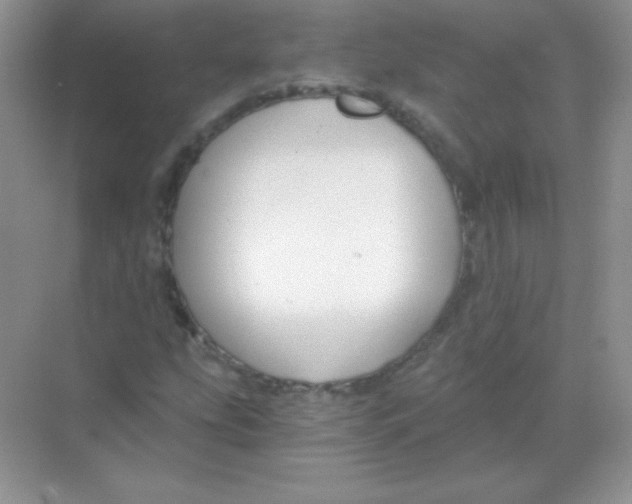 X0000068731207200605192310