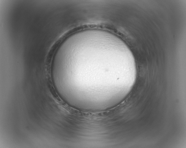 X0000068731208200605192310