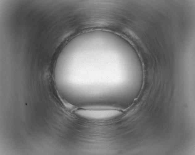 X0000068731210200605192310