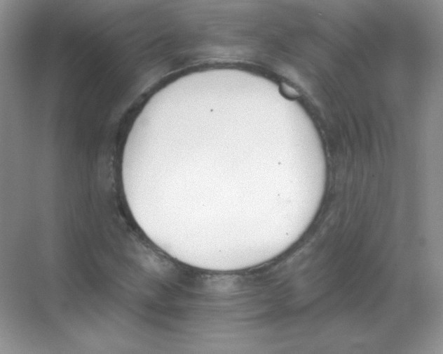 X0000068731211200605192310