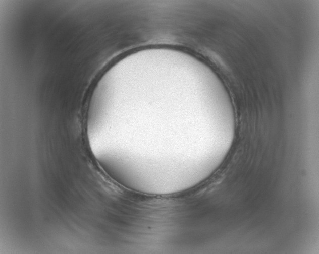 X0000068731212200605192310