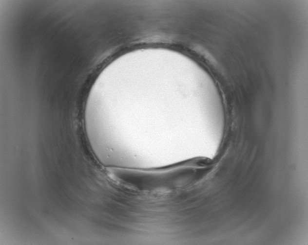 X0000068731213200605192310