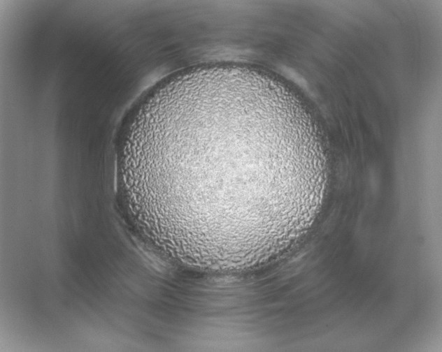 X0000068731219200605192310