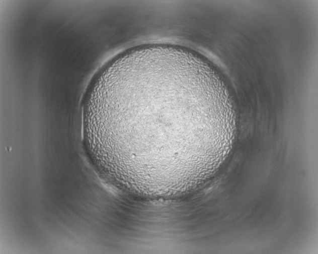 X0000068731223200605192310