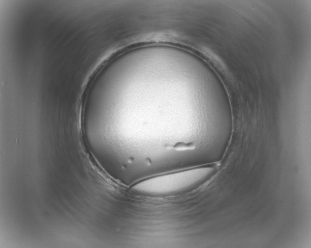 X0000068731224200605192310